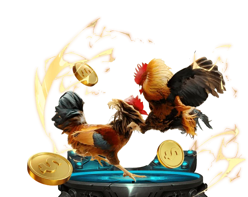 Các loại Cookie và hoạt động